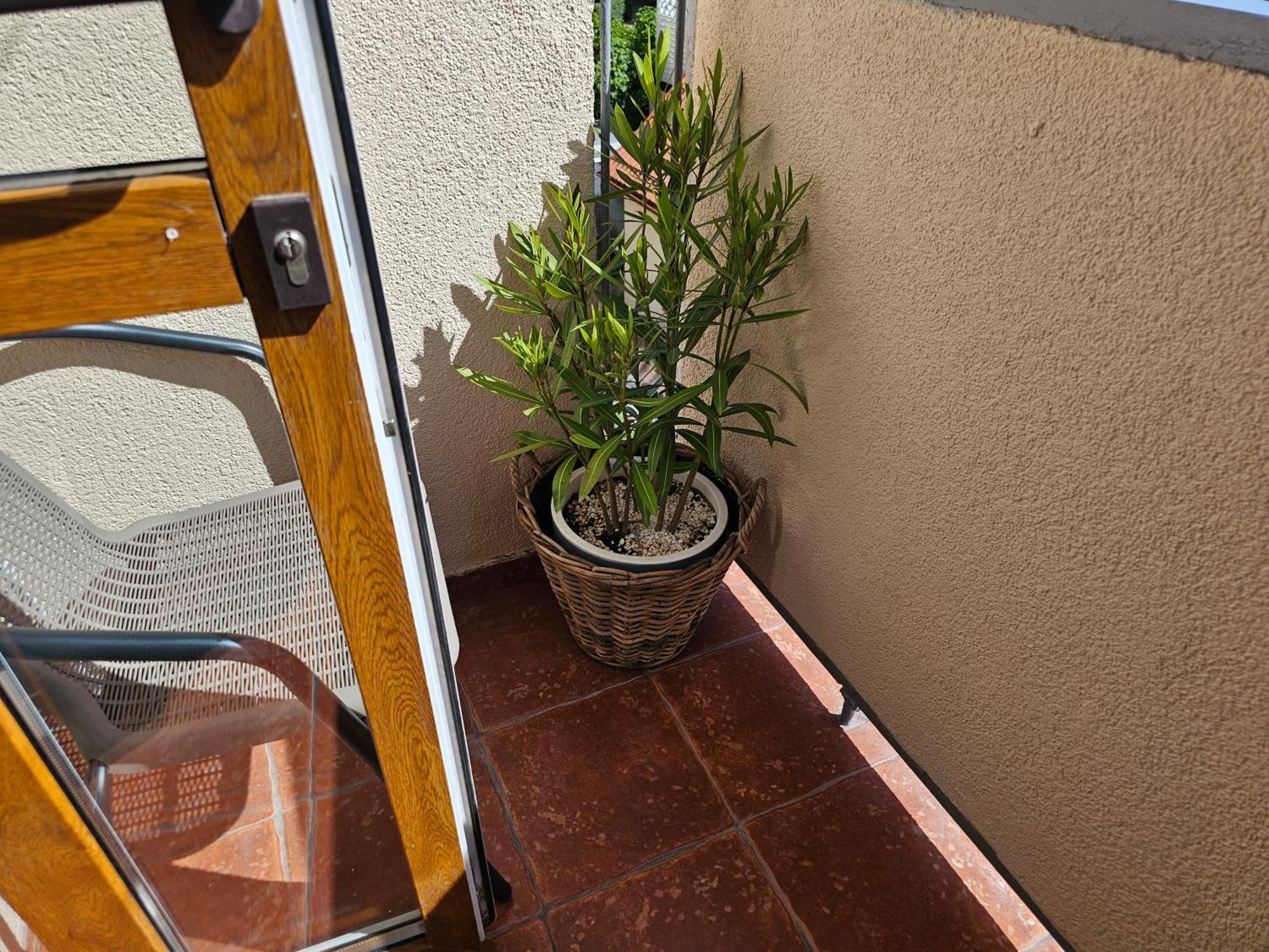 Apartamenty Luna A-B 格雷菲采 外观 照片